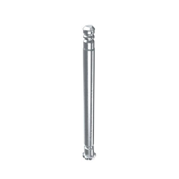 Siegenia Scherenlagerbolzen Poly TS K100 Titan Silber iP 90mm Set